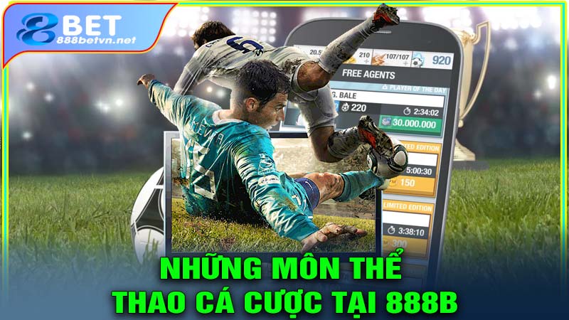 Những môn thể thao cá cược tại thể thao 888b
